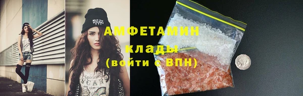 твердый Сясьстрой