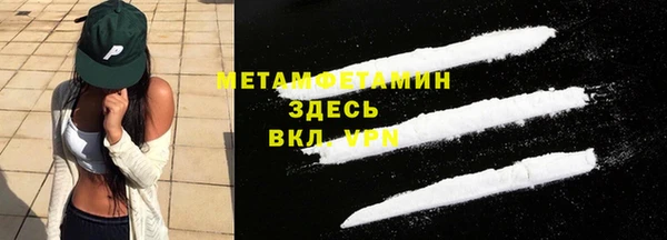 мдпв Гусев