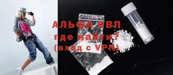 твердый Сясьстрой