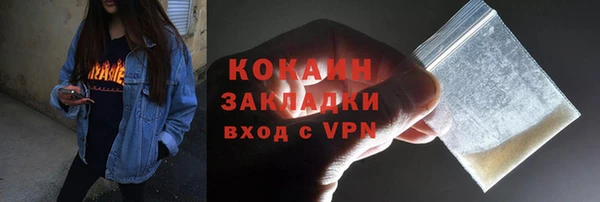 твердый Сясьстрой