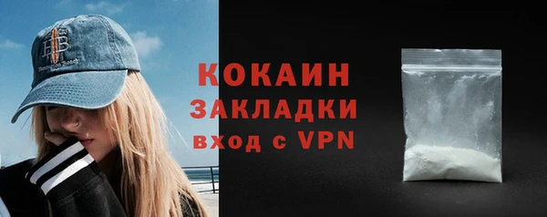 твердый Сясьстрой