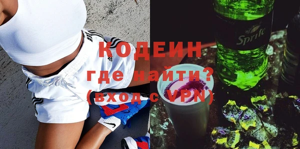 твердый Сясьстрой