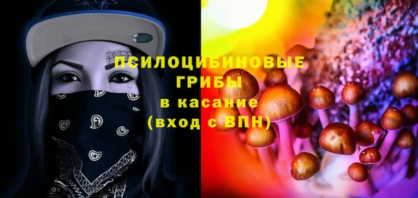таблы Тавда