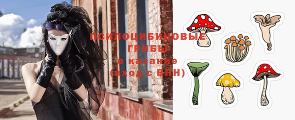 спайс Тайга